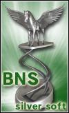 BNS Award: SILVER SOFT